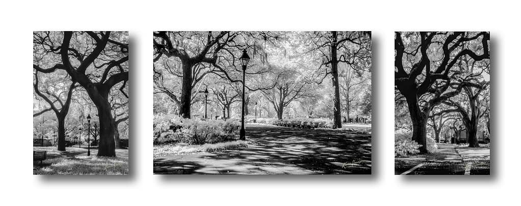 savannah - atlanta's commercial photographer a group of three black and white images of fine art photography of savannah georgia photographed by atlanta fine art photographer karen images