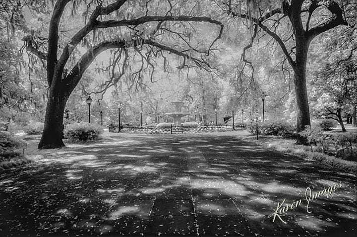 forsyth park h 2 copy - atlanta's commercial photographer a black and white image of fine art photography of forsyth square in savannah, georgia photographed by fine art photographer karen images