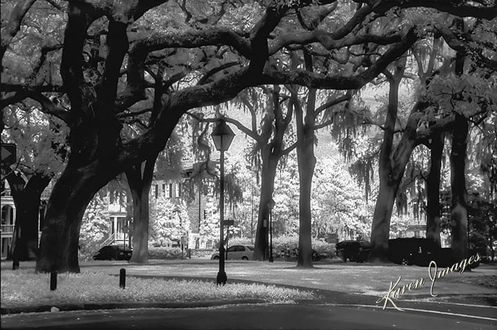 live oak savannah 2 copy - atlanta's commercial photographer a black and white image of fine art photography of a square in savannah, georgia photographed by fine art photographer karen images